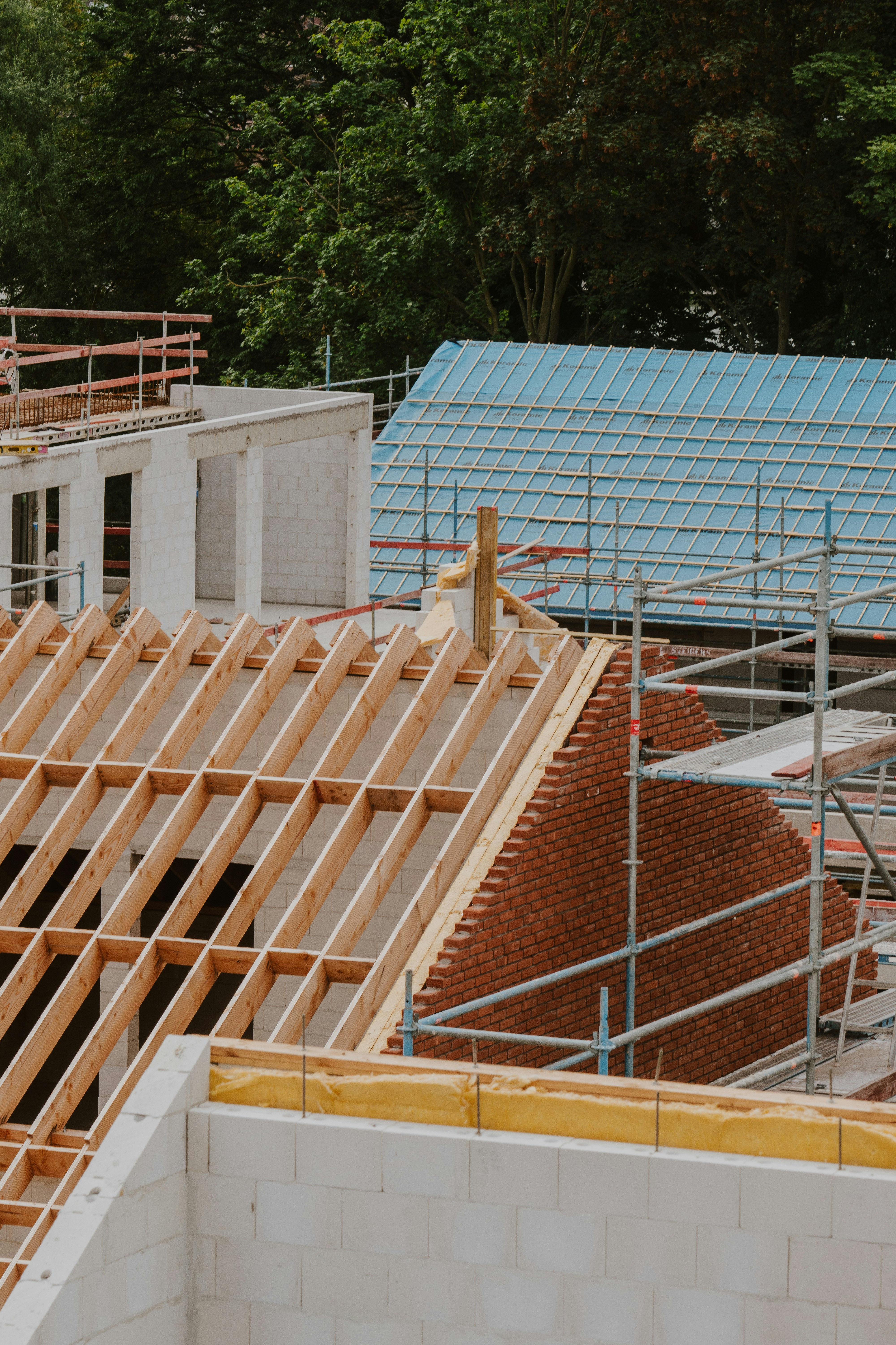 Renovneuf